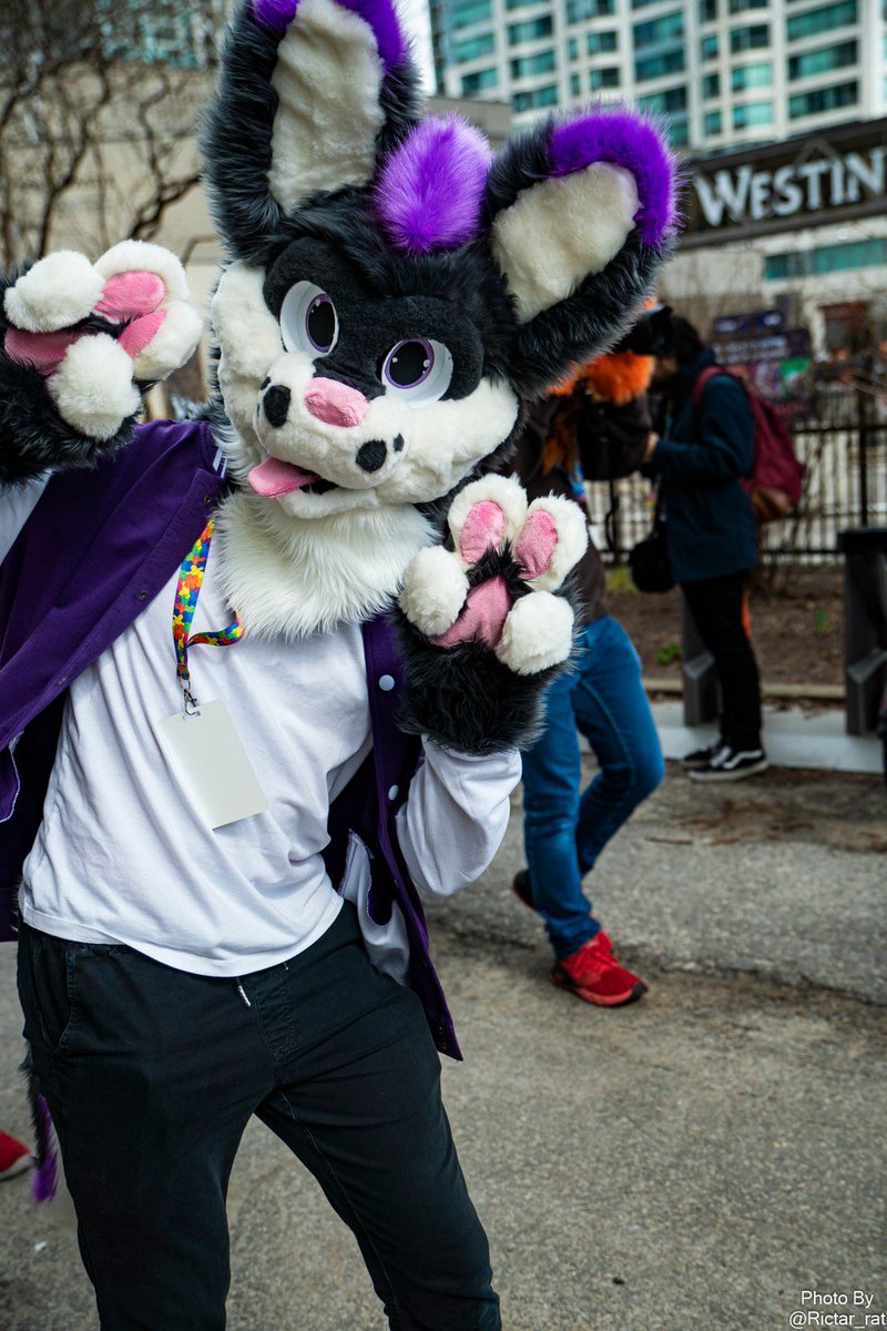 Lotis 💜 (@lotis_tv) on Twitter photo With the week finally over, it’s time for the best part of the week!
Happy #FursuitFriday Everyone! 💜
📸: <a href="/Rictar_Rat/">🌻Rictar🌻🔜 FE</a>
#furry #fursuit #fursuiter #FursuitEveryday With the week finally over, it’s time for the best part of the week!
Happy #FursuitFriday Everyone! 💜
📸: <a href="/Rictar_Rat/">🌻Rictar🌻🔜 FE</a>
#furry #fursuit #fursuiter #FursuitEveryday