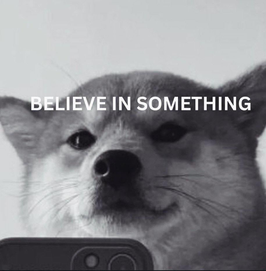 SelfieDog_SOL's tweet image. BELIEVE IN SOMETHING. $selfie