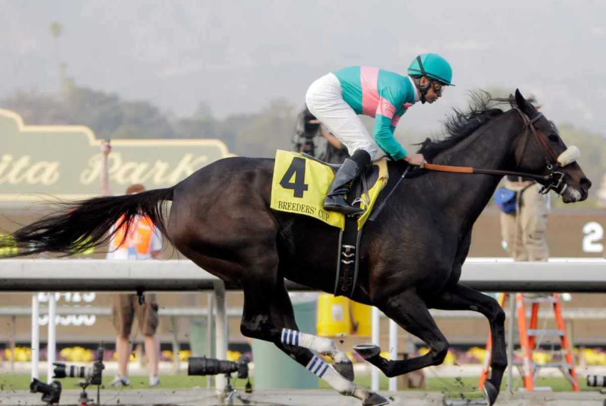 The RacingDownWind Community tweet media