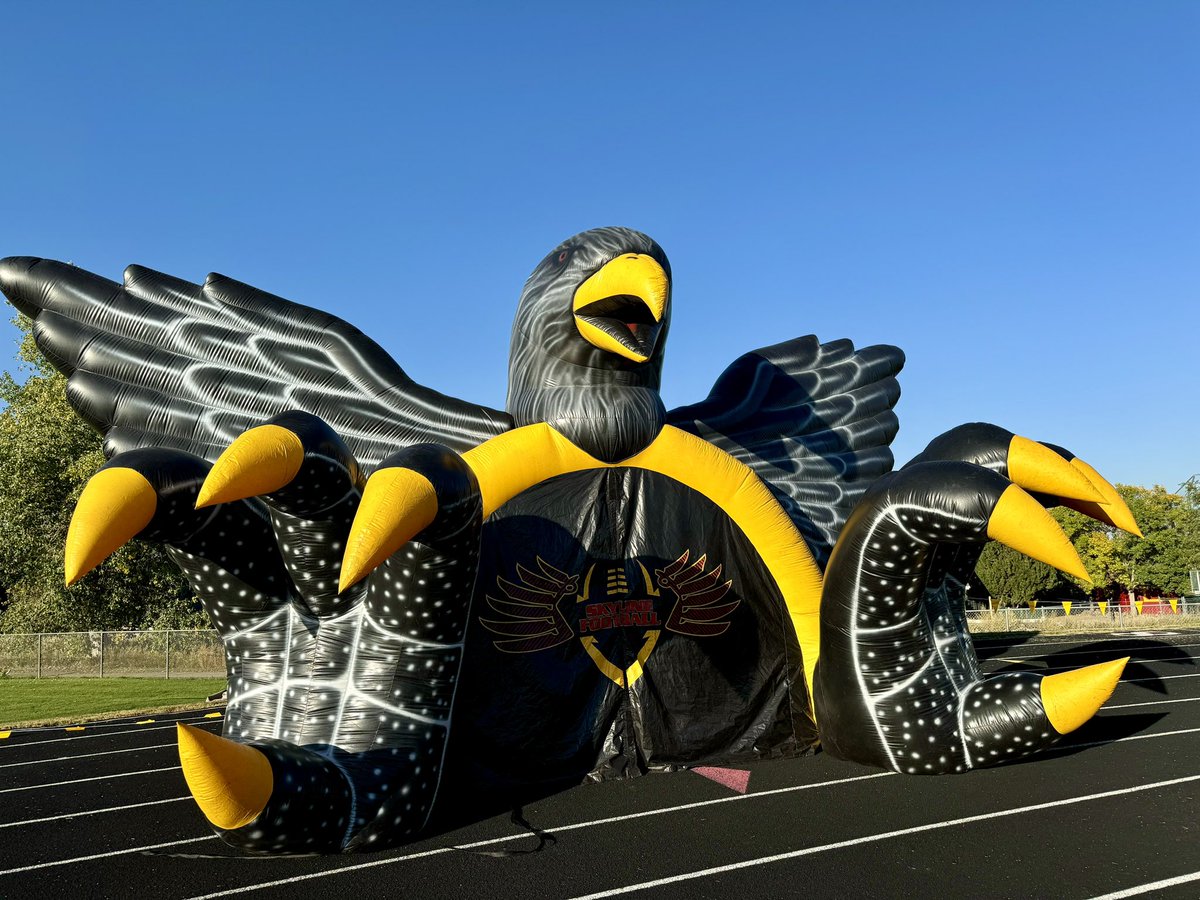 Sandy Heiser tweet media