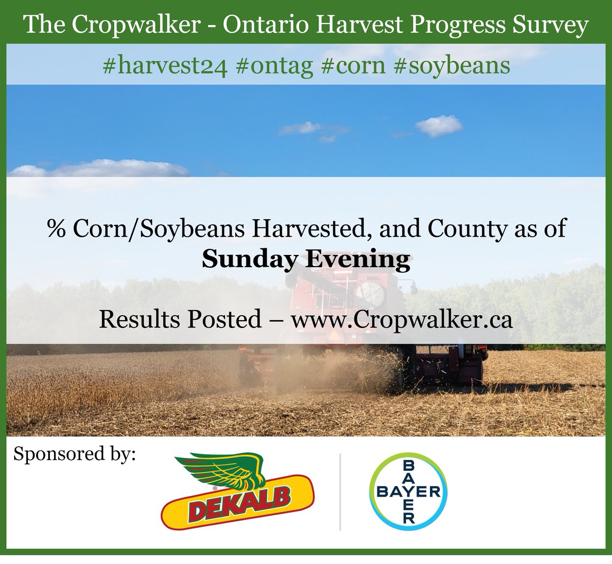 Jonathan Zettler 🇨🇦 tweet media