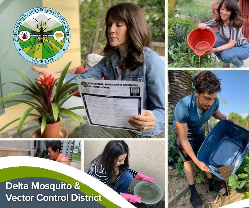 Take a walk around your property and clear out any standing water from buckets, flowerpots, trash cans, and other containers. Even small amounts of stagnant water can turn into mosquito breeding grounds! 🦟🚫 #MosquitoControl #TipAndToss #ProtectYourHome