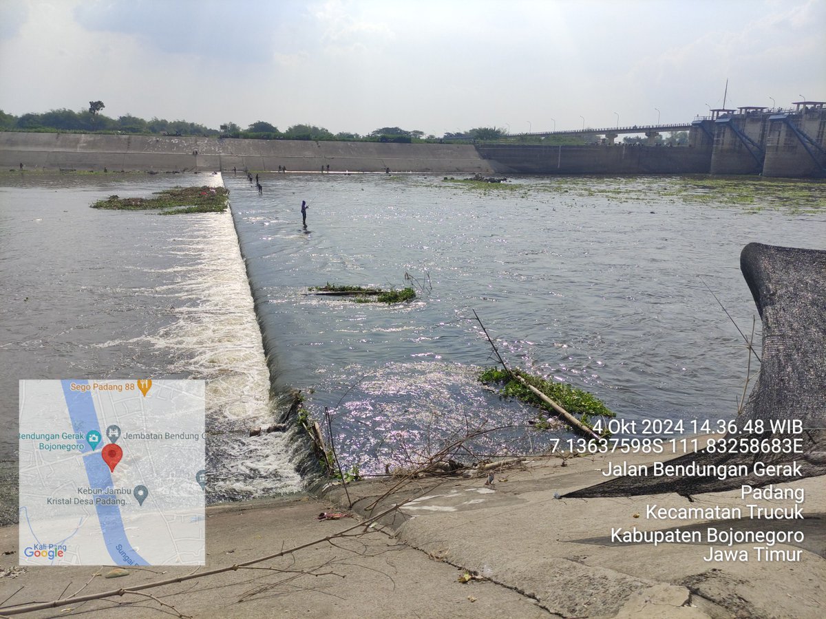 bett_alqi's tweet photo. Jumat (4/10), Baiti, Luhkan Bojonegoro, di KUB Nelayan Bendungan Gerak Ds. Padang  melaporkan tangkapan ikan Tawes, alat serok jaring, sebanyak 150 kg, harga Rp. 10.000/kg
#GiatLuhkanSatminkalBWI
#Bnegoro 
@pusluhkp
@bppsdm_bp3bwi https://t.co/d8T1LanmBc