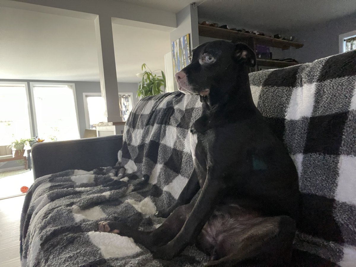 Warren Dean tweet media