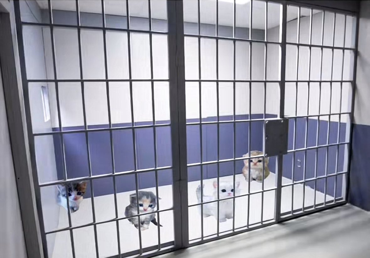 LET THEM OUT!!