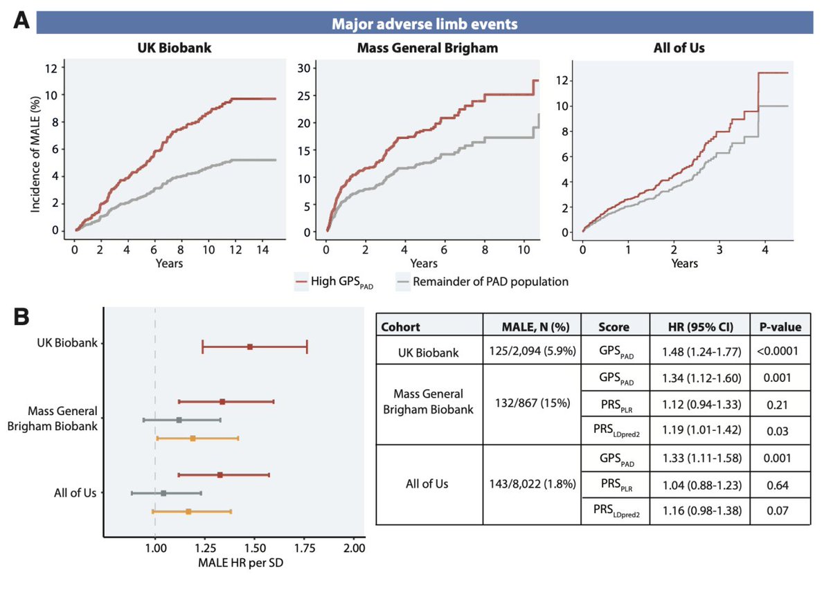 Pradeep Natarajan (@pnatarajanmd) on Twitter photo Our preprint led by <a href="/MGHVascular/">Mass General Vascular</a> resident @AlyssaFlo and with <a href="/AniruddhPatelMD/">Aniruddh Patel</a> deriving & evaluating a new polygenic risk score for peripheral artery disease across <a href="/MassGenBrigham/">Mass General Brigham</a> Biobank <a href="/uk_biobank/">UK Biobank</a> <a href="/AllofUsResearch/">AllofUsResearch</a>. Comparable performance to diabetes and smoking! Our preprint led by <a href="/MGHVascular/">Mass General Vascular</a> resident @AlyssaFlo and with <a href="/AniruddhPatelMD/">Aniruddh Patel</a> deriving & evaluating a new polygenic risk score for peripheral artery disease across <a href="/MassGenBrigham/">Mass General Brigham</a> Biobank <a href="/uk_biobank/">UK Biobank</a> <a href="/AllofUsResearch/">AllofUsResearch</a>. Comparable performance to diabetes and smoking!