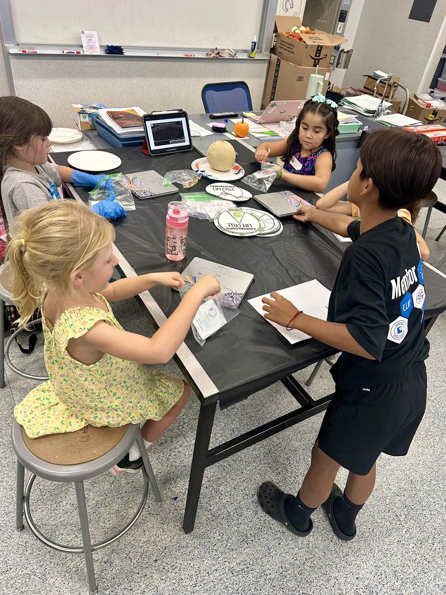 Welcome to Cantaloupe Corner! 🍈 Kindergarten &amp; first graders from BES &amp; JMA learned where cantaloupe comes from and planted their very own seedling to grow at home! 🌱 #BurtonExperience #STEMEducation