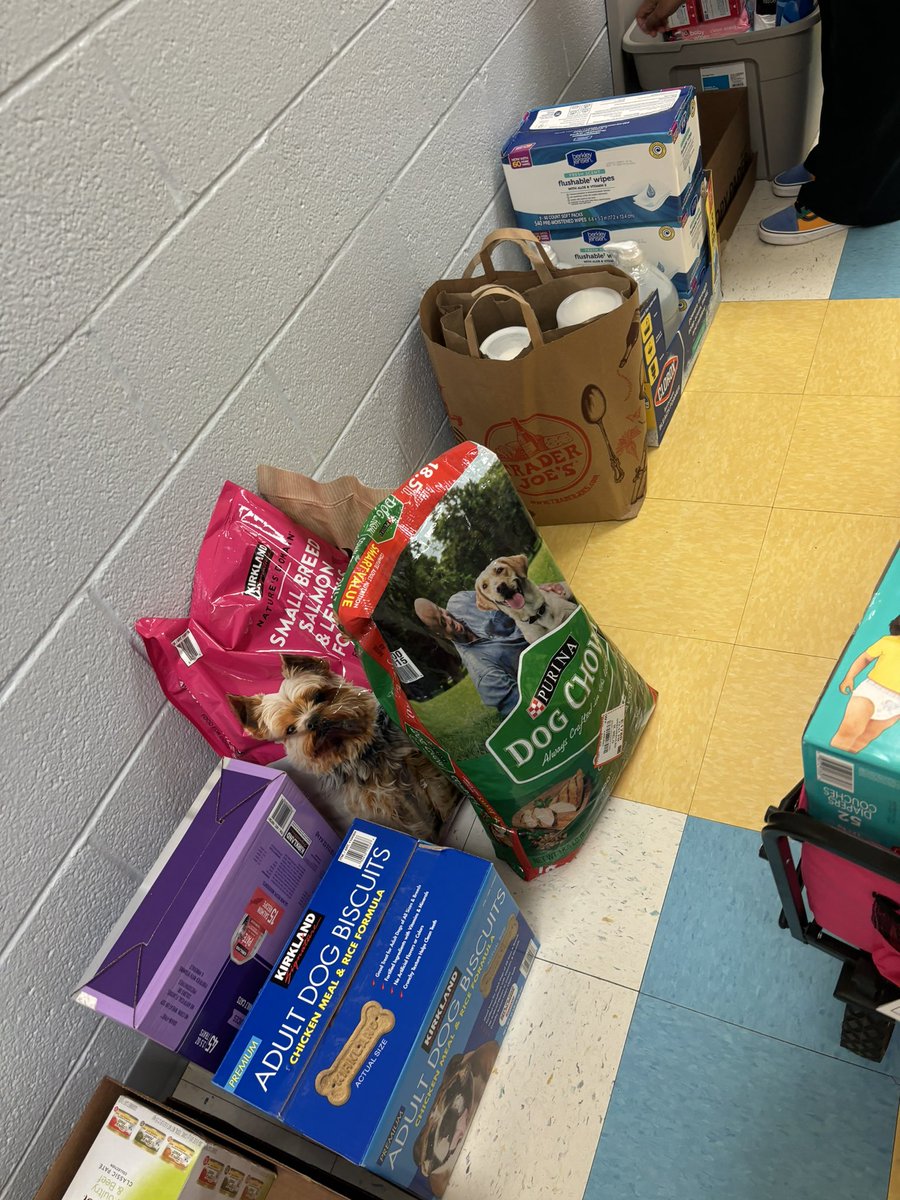JYJoyner's tweet image. Today we delivered our first round of donations to Bowstring for delivery to Western NC! Looking forward to continue collecting as long as the need is there! Way to go JYJ staff, students and families. #takeaction #IBPYP @iborganization @ibpyp @Global_WCPSS @WCPSSNortheast