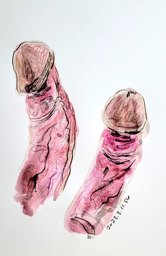 한 화면에 두가지 좆을 그려달라고 하셨던 좆상화 신청자분. 위에서 보는것과 옆에서보는것의 라인 차이가 분명해서 그리는 동안 재밌었던 포인트 였다 #섹트 #박제 #좆상화