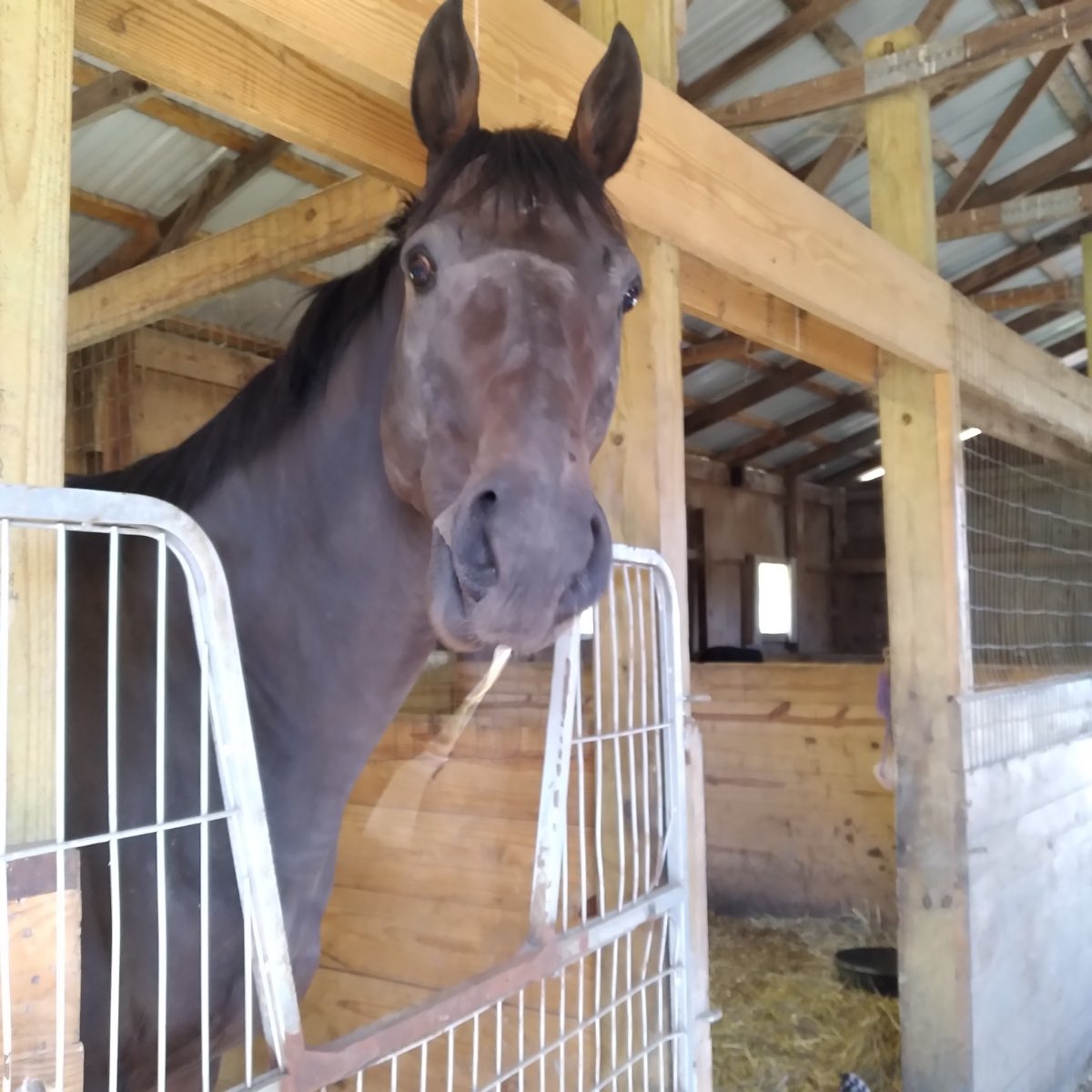 CANTER Ohio tweet media