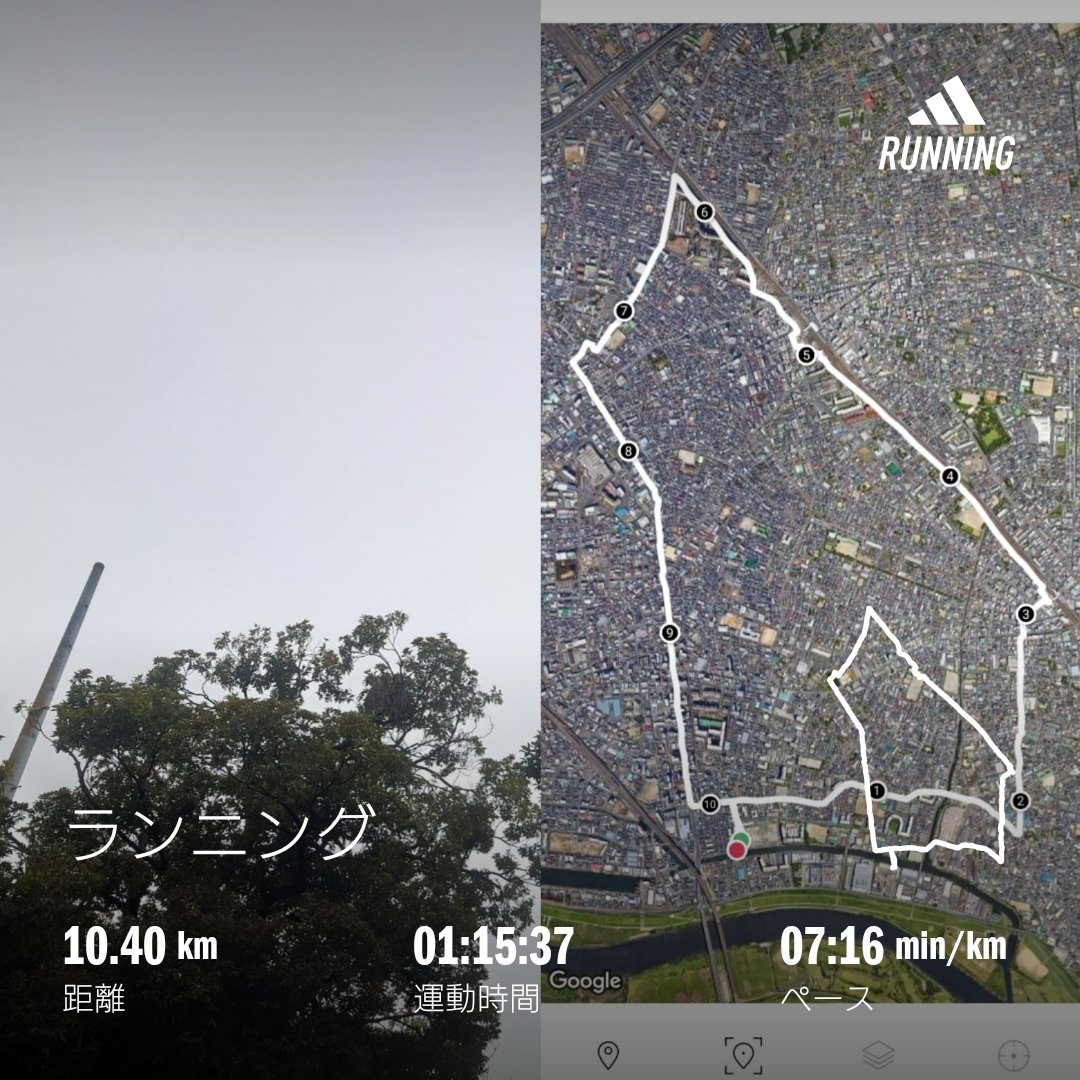 homma_t's tweet photo. 雨が降り出す前に、今月最初のラン🏃♂️
今週は風邪をひいてしまって、近所のクリニックで処方された薬を飲んで対症療法で体調が戻ってきている途中です。
ゆるゆると短めで。
走って治そう!
#run #running #saterdayrun #octoberrun #route17 #nakasendo https://t.co/gdOrirhhWU