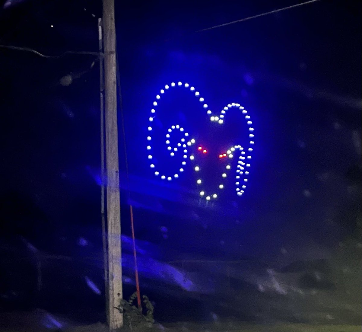 Sarah Doyle tweet media