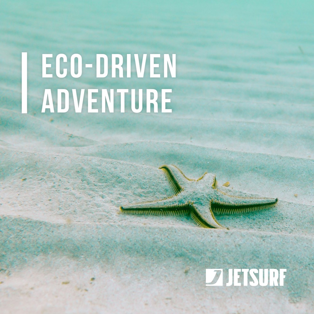JetsurfOfficial's tweet image. Riding towards a greener future. At JETSURF, sustainability steers our innovation. Explore our eco-conscious approach. 

jetsurf.com

#SustainableSpeed #JETSURF #BornForFun #SummerWithJETSURF