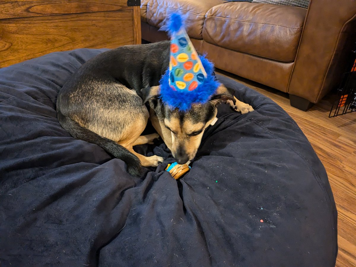 Cooper Puppyheart tweet media