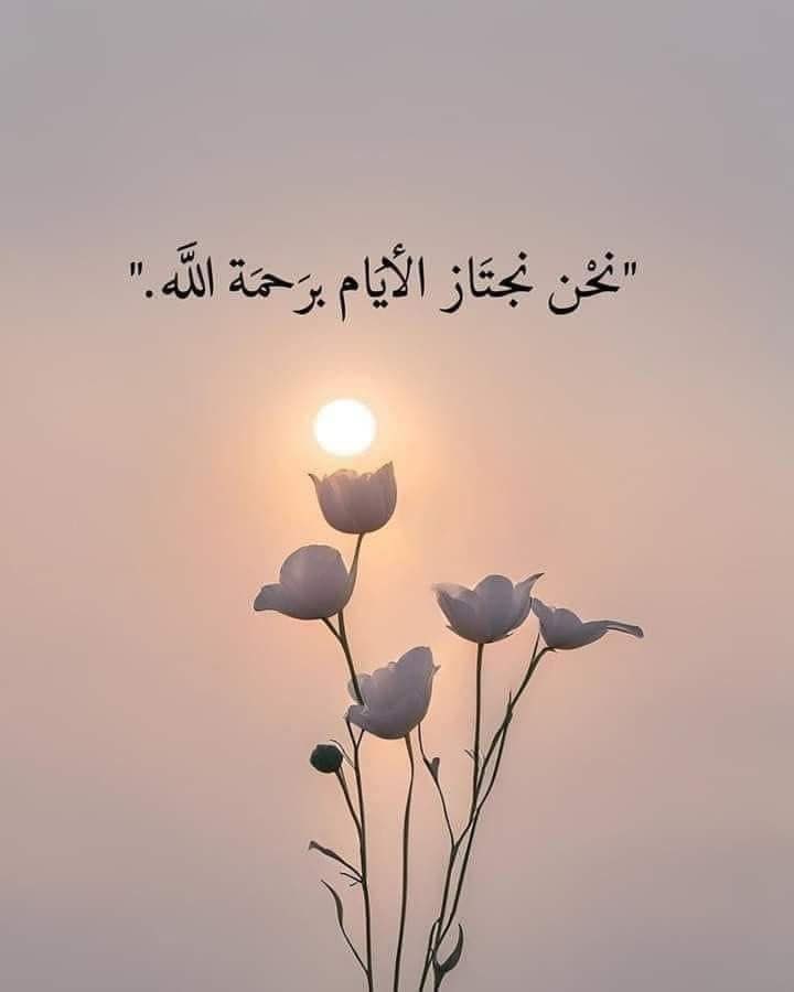 ادبی ورثہ tweet media