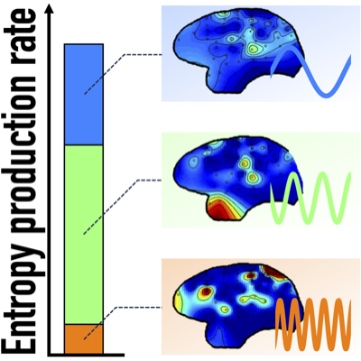 Our paper is out in PRX! <a href="/D_Sekizawa/">D. Sekizawa</a> <a href="/ito_sosuke/">Sosuke Ito (伊藤 創祐)</a> We derive a relation between oscillations and entropy production rate and apply it to neural data to study how brain waves contribute to the irreversibility of dynamics. Stay tuned for a detailed thread and press release on Monday.