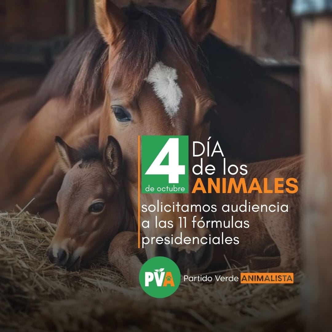 El activismo político por los animales no se agota en la campaña electoral.

#loanimalespolitico y nuestro rol sera el de impulsar el trabajo serio y responsable sobre el tema en todos los partidos, así como aportar al avance de nuevas leyes y politicas públicas tan necesarias.