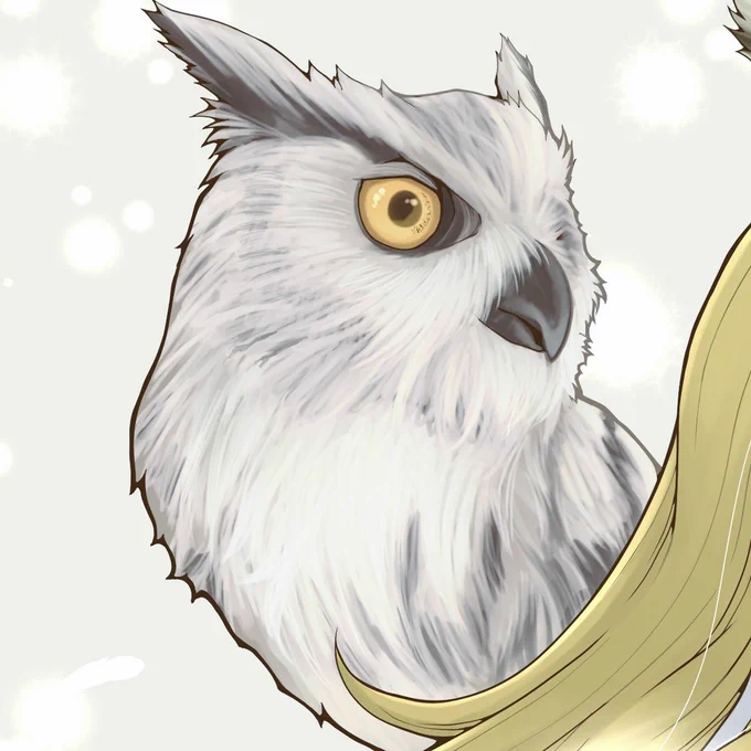 、、、とあるプロジェクトを進行中𓅓 