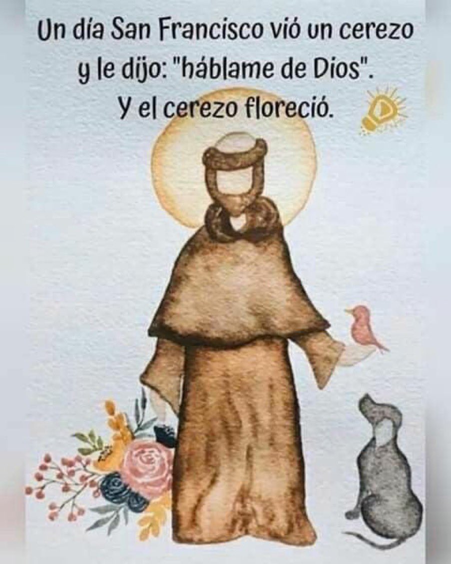 Frases de Santos (@topsevenfactory) on Twitter photo 