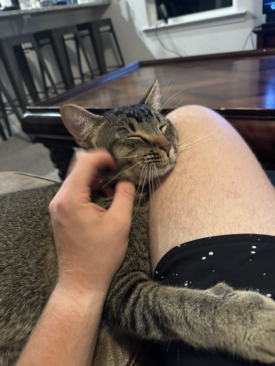 KadenPoling's tweet photo. His paw digging into my leg is worth how precious he is https://t.co/6FyVBr6gGp