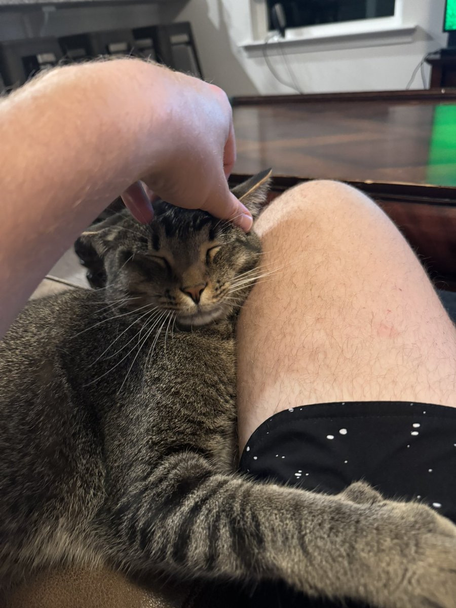 KadenPoling's tweet photo. His paw digging into my leg is worth how precious he is https://t.co/6FyVBr6gGp