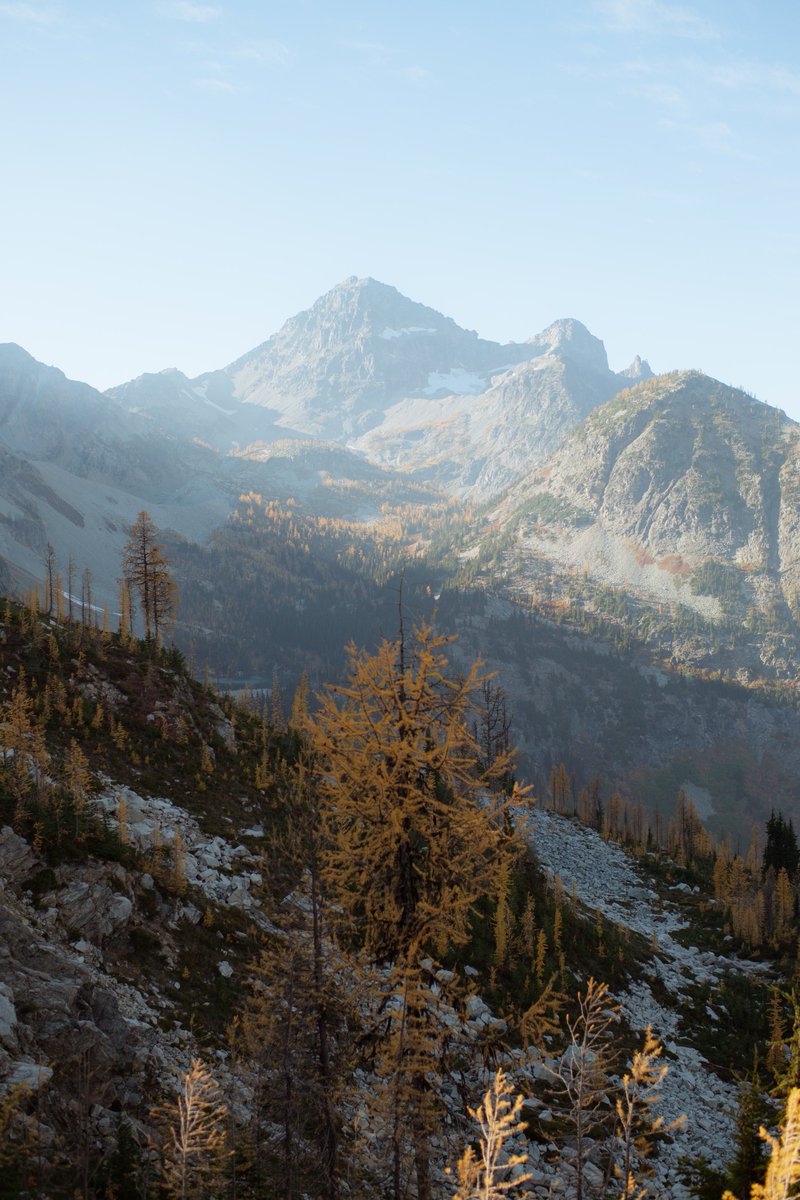 katiejmcgregorr's tweet image. October in Washington