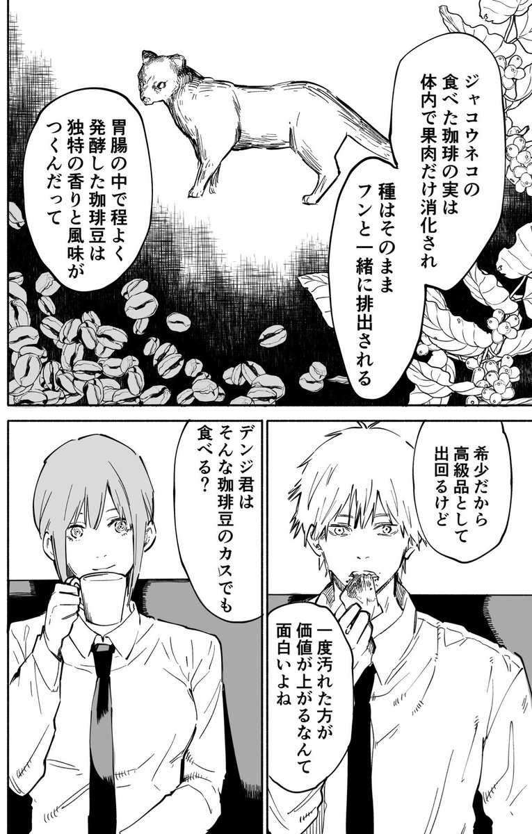 マキマさんのコピ・ルアク解説 