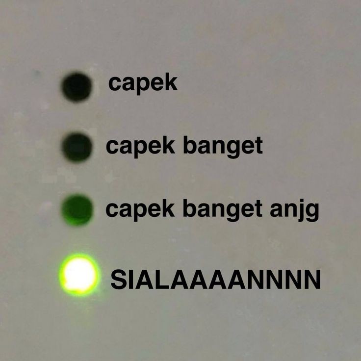 muezza (@runtuhq) on Twitter photo 