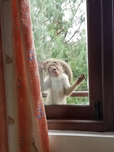 Amystreet's tweet photo. I don’t set alarms anymore I just keep my blinds open and let myself wake up naturally
This was a new way of having nature wake me up tbh https://t.co/aTFSYP39Bt