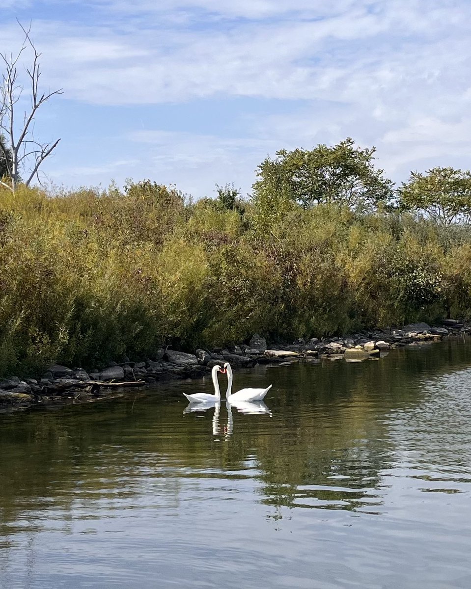 drCADuff's tweet image. A day of contrasts! Cycling through the natural beauty of Tommy Thompson Park &amp;amp; cycling past the destruction of Ontario Place. 😢