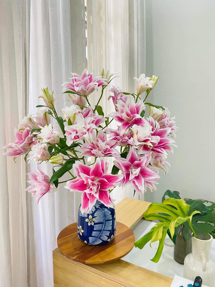 Mercy81vn's tweet photo. Saturday💐
#Flowers
#BachHop https://t.co/nZGO42G6S0