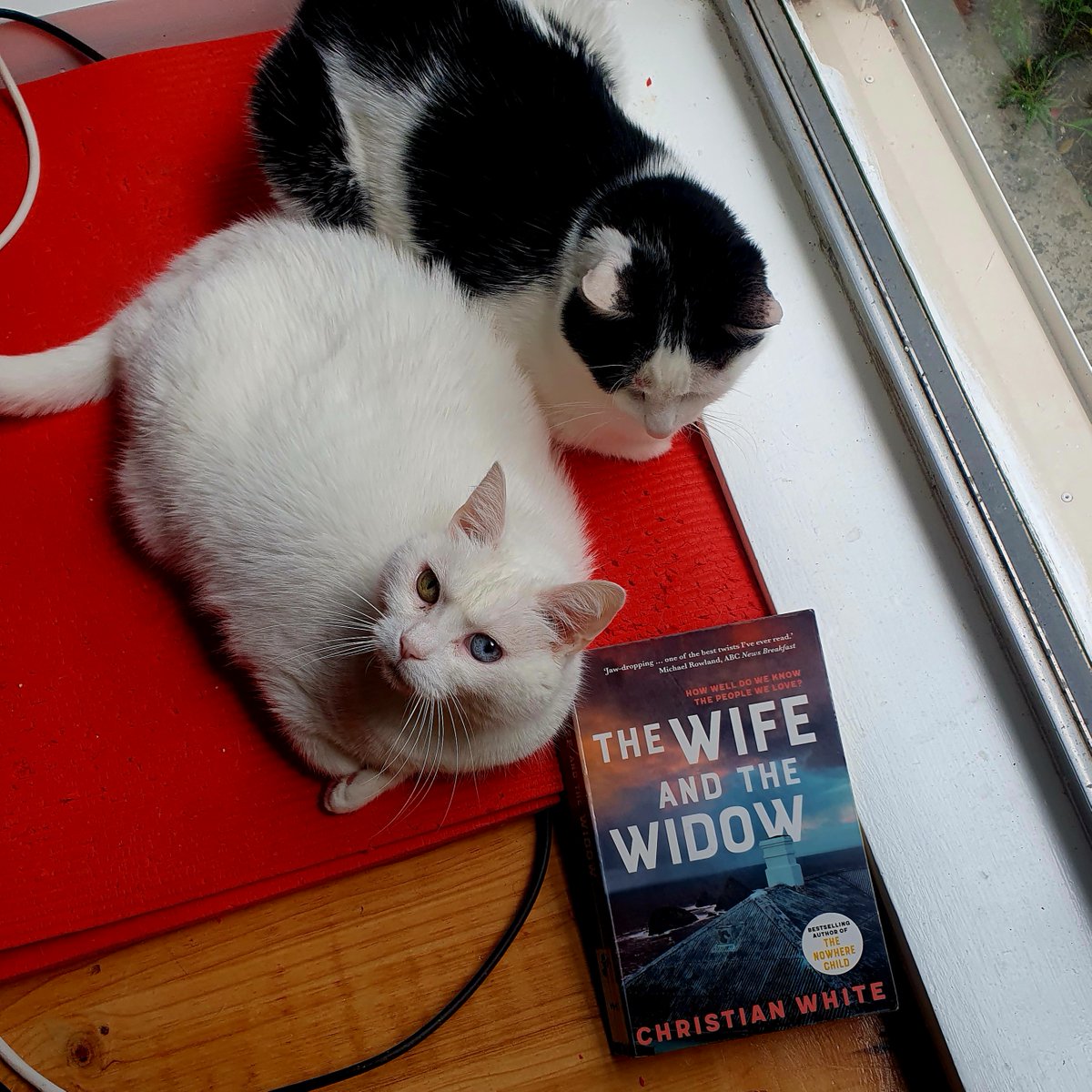 The Wife and the Widow by Christian White is a twisty thriller set on a small island in Victoria, Australia. I read this one quickly because I was dying to find out what happened next.
wp.me/p5k577-1oh
#booktwt #amreading