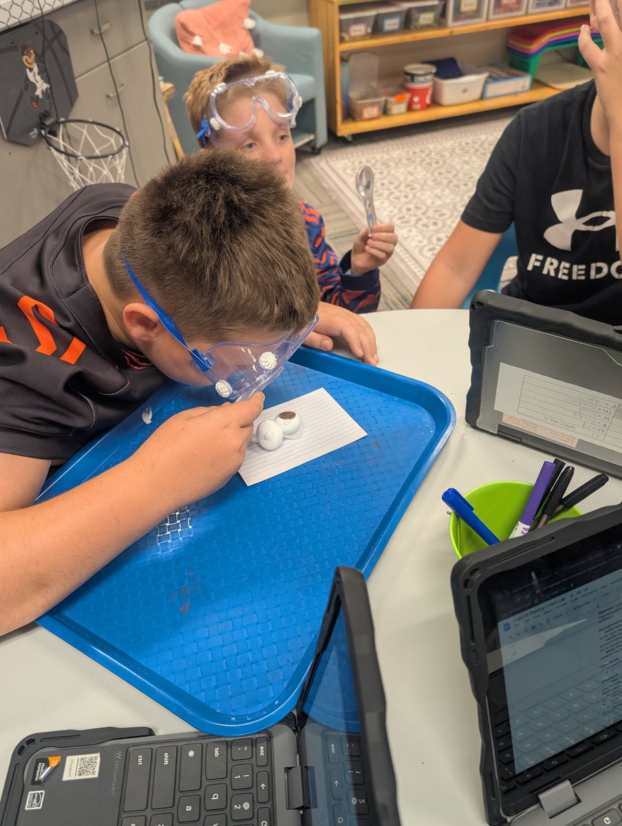 maribethsharkey tweet media