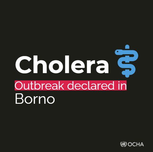 MohamedFall's tweet photo. In #Borno, #Adamawa &amp; #Yobe @UN &amp; partners are on the frontlines responding to #cholera outbreaks, providing #vaccinations, clean #water, emergency toilets &amp;  more but resources remain limited &amp; time is running out to prevent further spread. A scaled up response is critical. https://t.co/fL94dY8VJ8