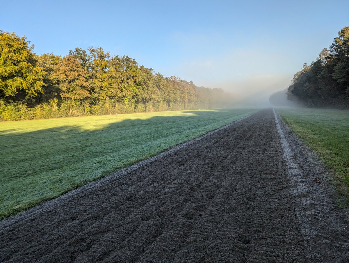 Toshi Onikubo 鬼窪峻大 tweet media