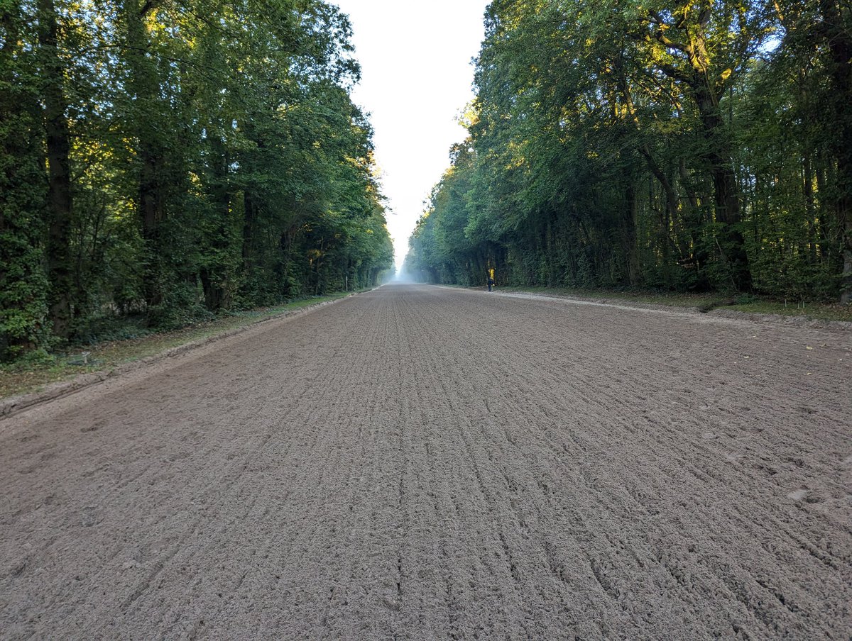 Toshi Onikubo 鬼窪峻大 tweet media