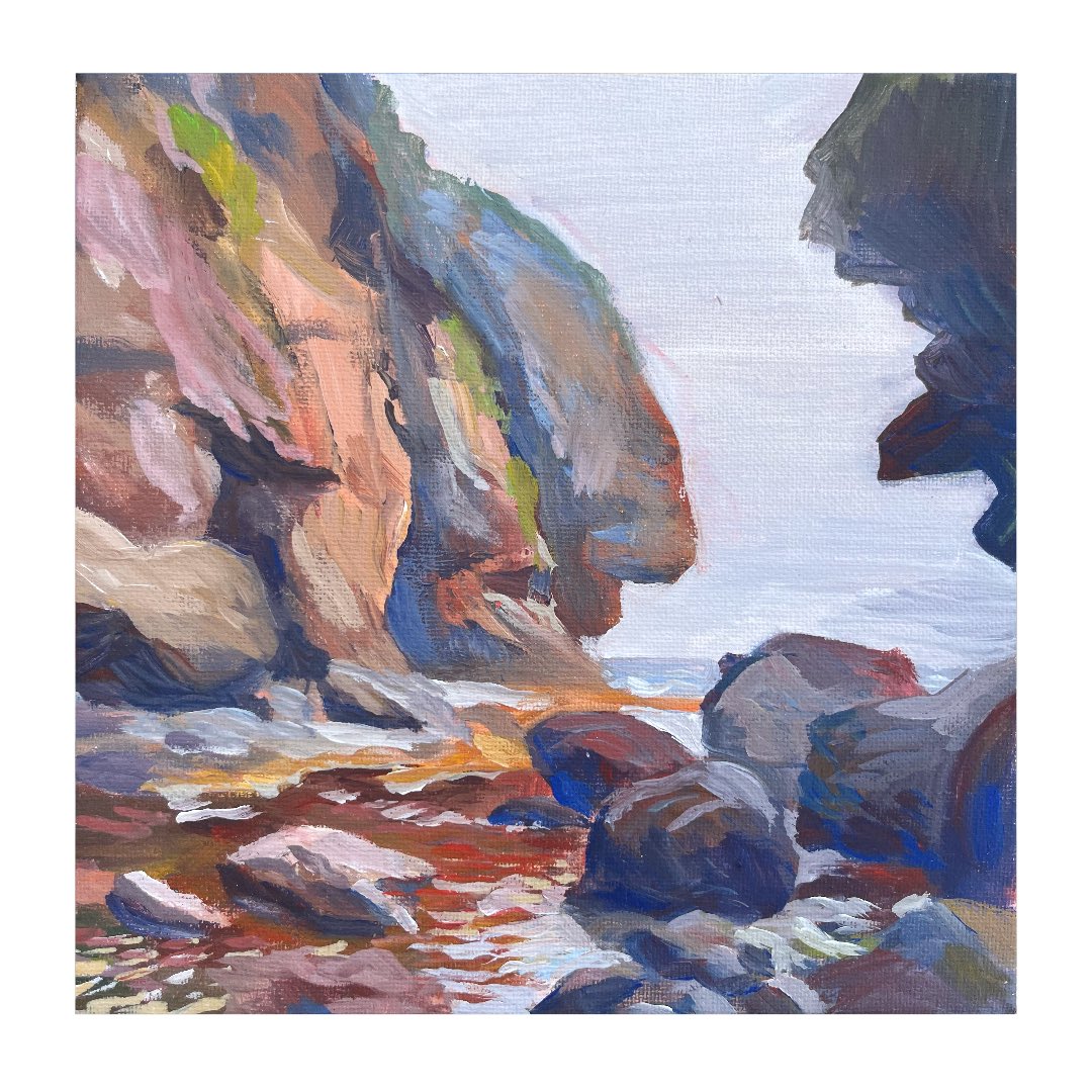nikula_art's tweet photo. "Low tide on Sakhalin» 2024
20x20 tempera on canvas.

Working with nature on Sakhalin Island in the “Tikhaya” bay at low tide. That day turned out to be very foggy and windy.
#impressionism #artcollector #artgallery #artoftheday #temporaryart #oilpainting #oiloncanvas #island https://t.co/4xjr8TTcTa
