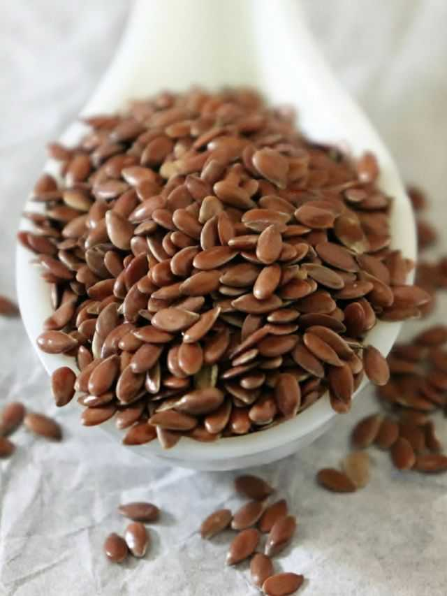 tv9gujarati's tweet image. અળસી ખાવાથી થાય છે અગણિત ફાયદા, જાણો

#flaxseed #flaxseedbenefits #Healthtips #HealthNews 

tv9gujarati.com/web-stories/kn…