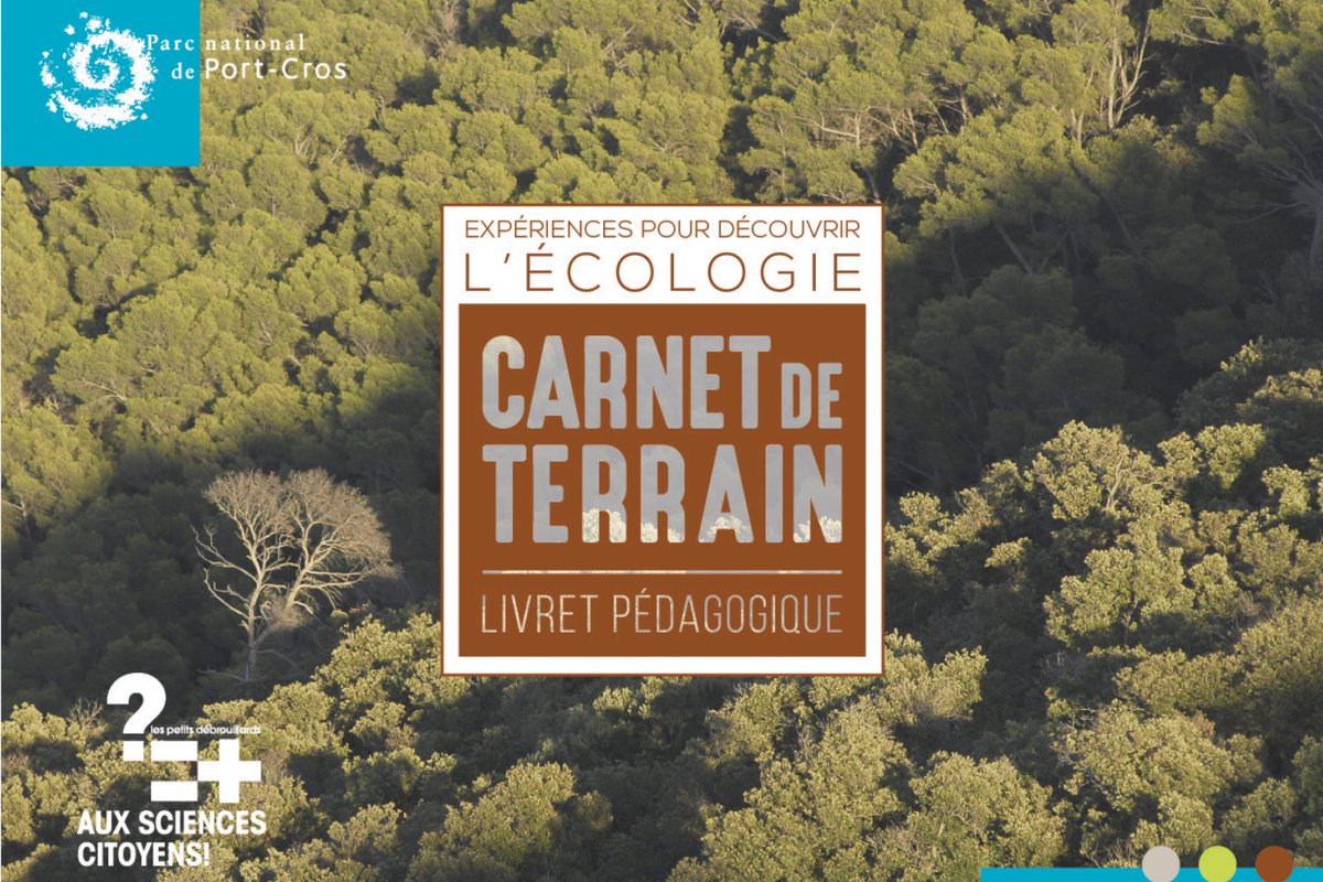 Parc nat.  Port-cros tweet media