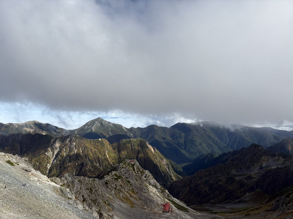 吉成 晃 / Akira YOSHINARI tweet media