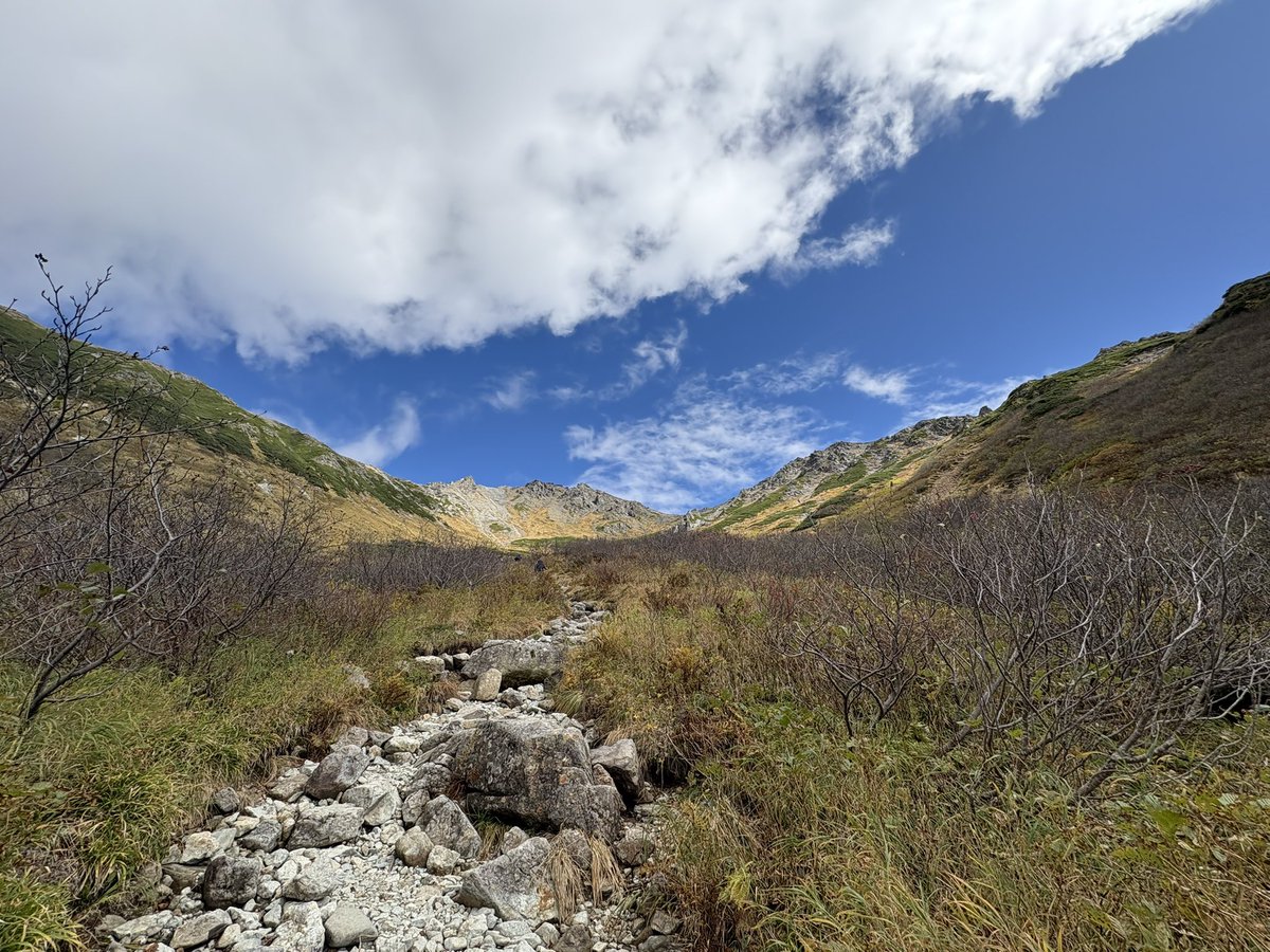 吉成 晃 / Akira YOSHINARI tweet media