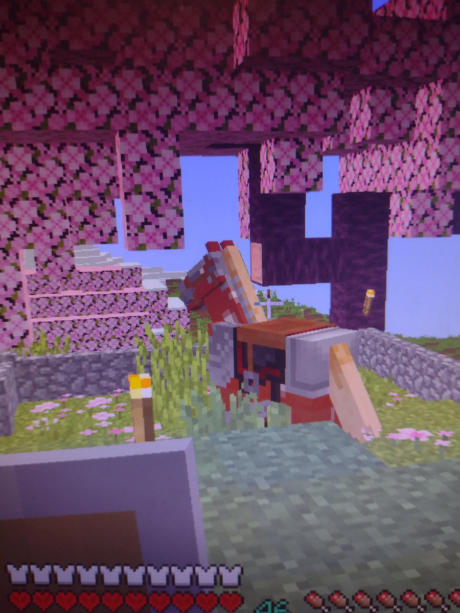 MinecraftMeme16's tweet image. Top Comment Names my Horse