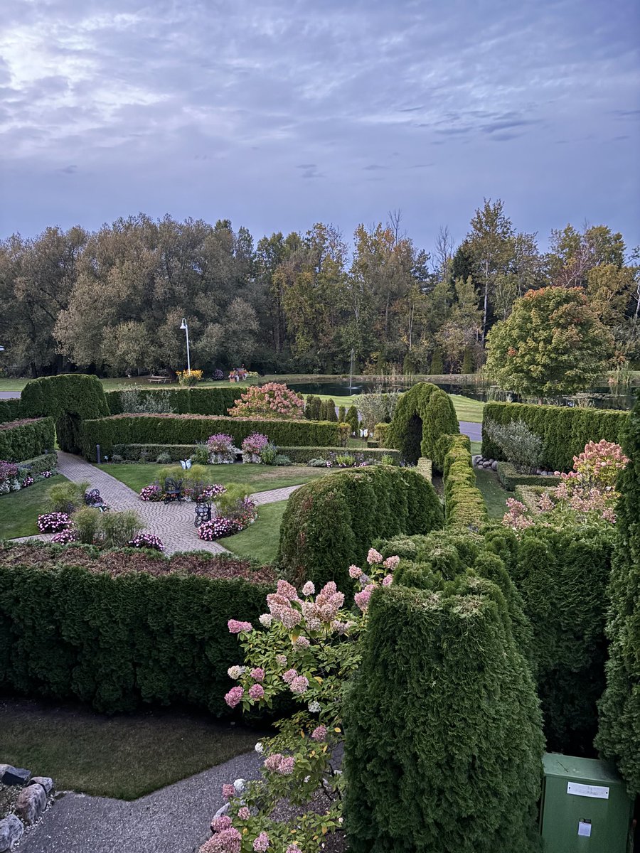 Dark Papers Entertainment tweet media