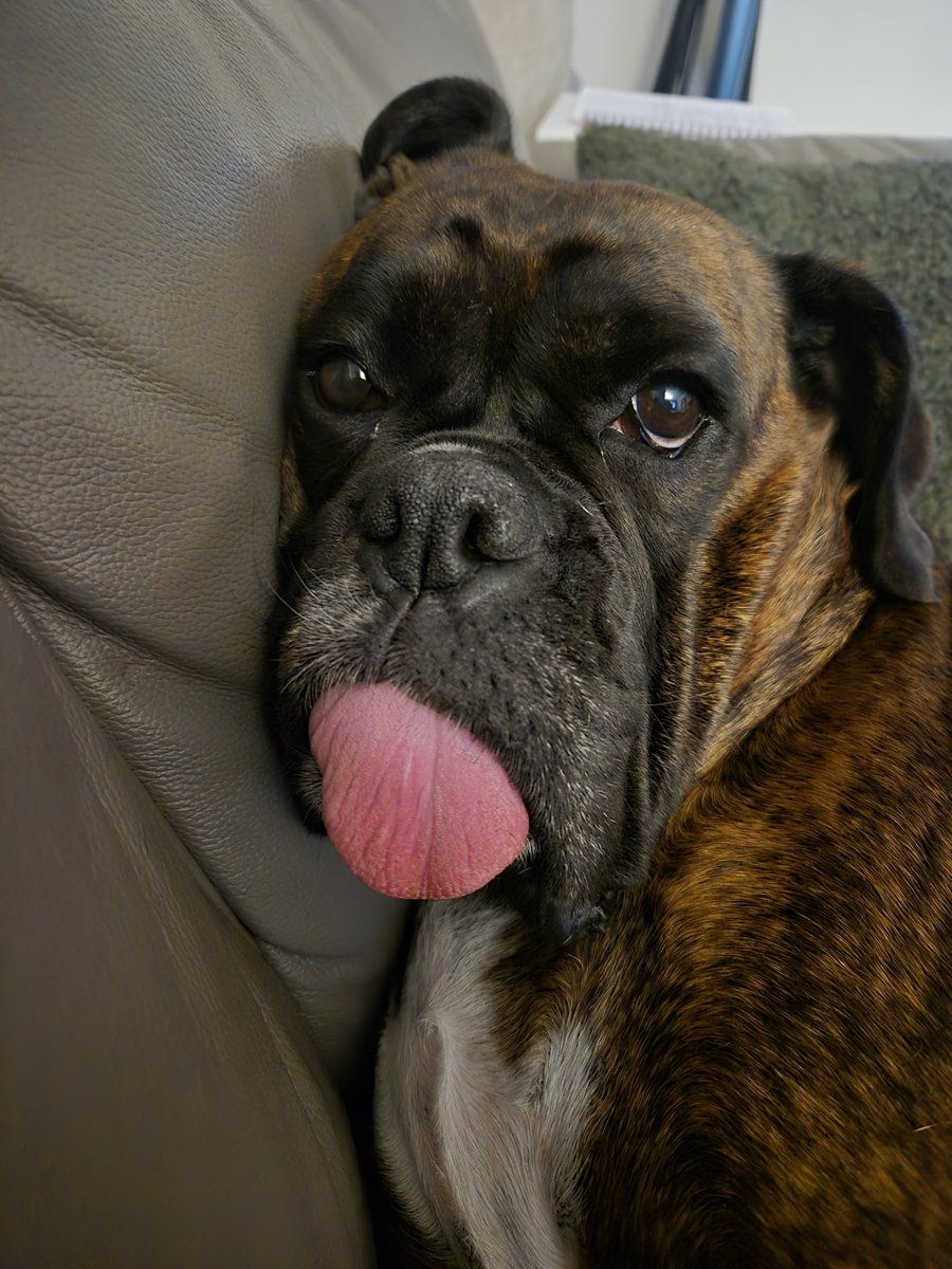 Before and after I tell Rosie it's GlesGames Day 😍

See yous later! ✌🏻