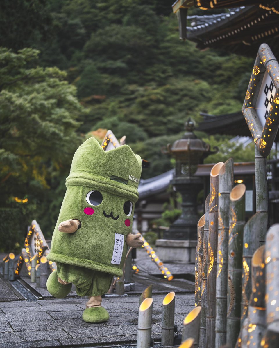 あまりの美しさにたけにょんも幸せそう❤️

京都西山竹あかり 〜幻想夜2024〜

📍善峯寺
📅10/6（日）〜9（水）、12（土）〜14（月祝）
🕐18:00〜20:30（受付終了20:00）
🎫拝観料：大人1000円/高校生600円/小中学生400円

#京都西山竹あかり
#幻想夜2024
#京都西山
#京都観光
#たけにょん