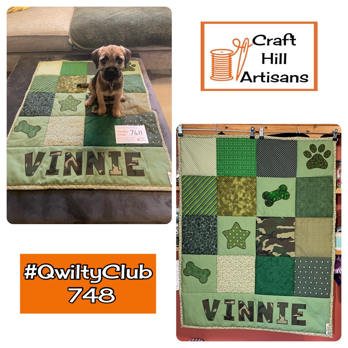 ArchieThePatti's tweet photo. Welcoming Vinnie to #QwiltyClub, members number 748 @TobeTheBT…..following on his big bro’s tradition. Toby got his qwilty way back in 2014.
Are you a member ❓ #btposse https://t.co/so2MCIEJ2I