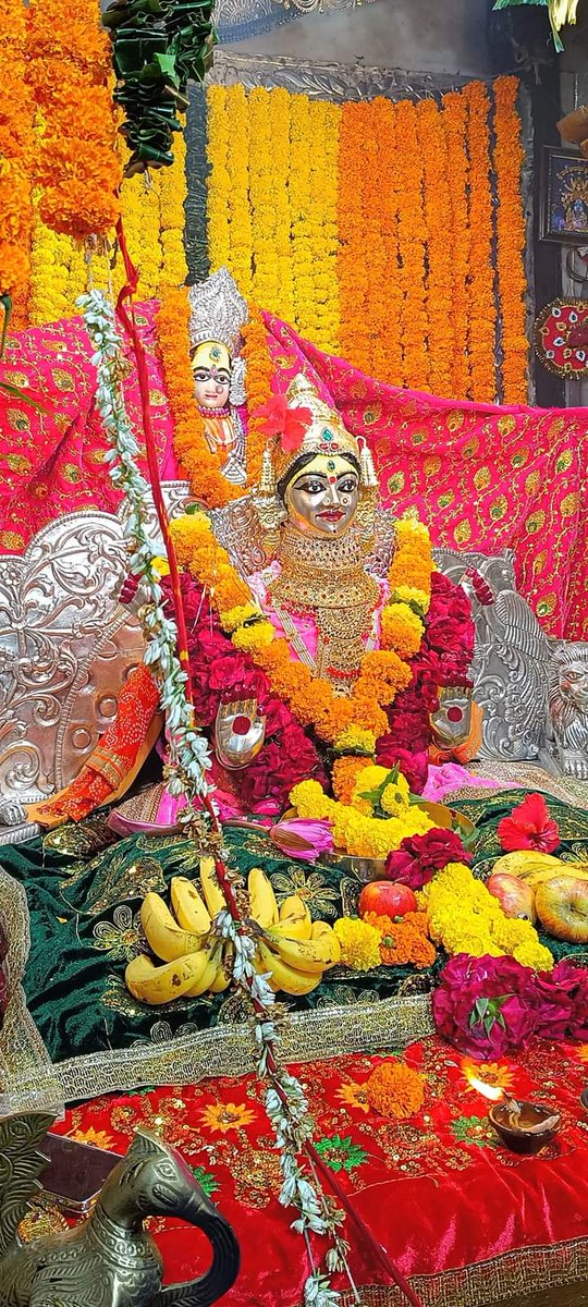 शारदीय नवरात्र तृतीय दिवस दर्शन🚩🙏

#सुप्रभात 🌺