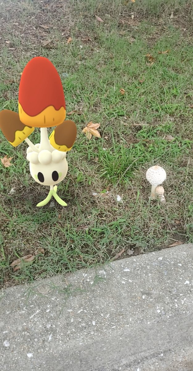 LadyDi1002's tweet photo. When your bestie allows you to be silly as shyt... 😂 🍄 🤣

@doutlaw311

#SHEnanigans 

#InGameFriends

#OfflinePals 

#PoGO https://t.co/bk8L9UfPYf