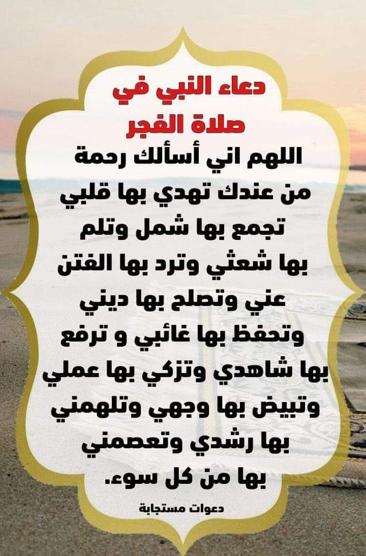 صالح الخزرجي tweet media