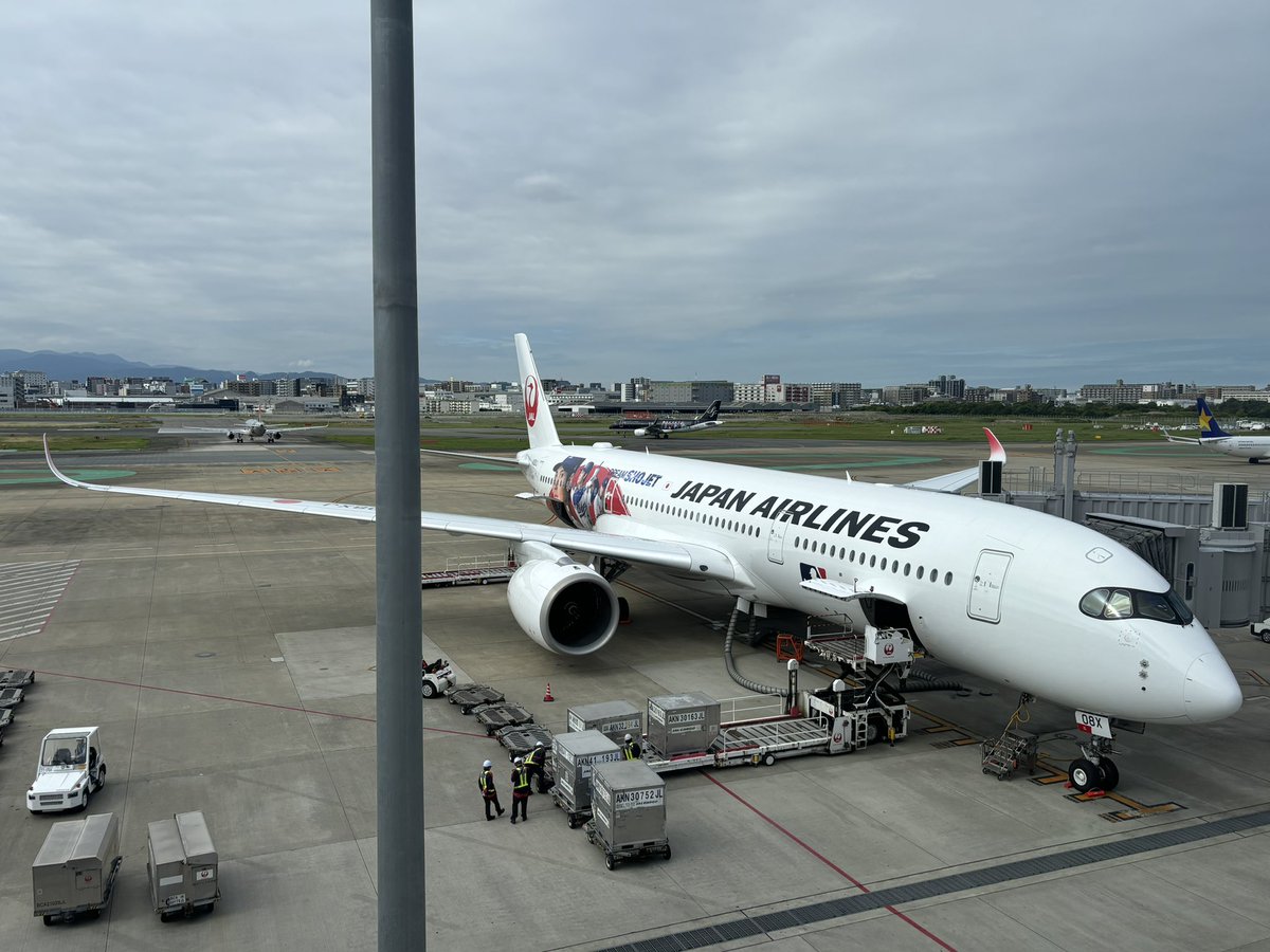 kai2017jgc's tweet photo. こんなに早く出会えると思ってなかった‼️
#DREAMSHOJET 
#JAL https://t.co/vyqafEN7zH
